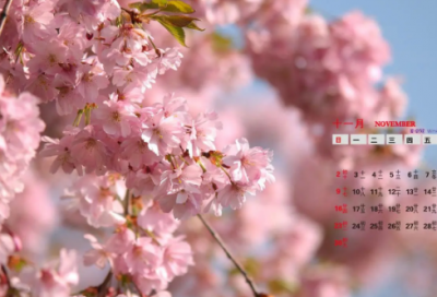 ​武林外传帮派名字(共63个)