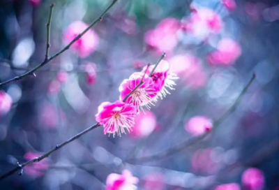 ​寓意考试顺利的网名(63个)