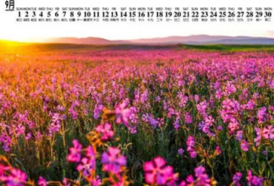 ​寓意环保绿色的名字大全