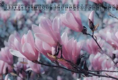 ​诗意1个字的名字大全(119个)