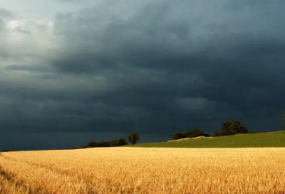 ​新手开网店名字(65个)