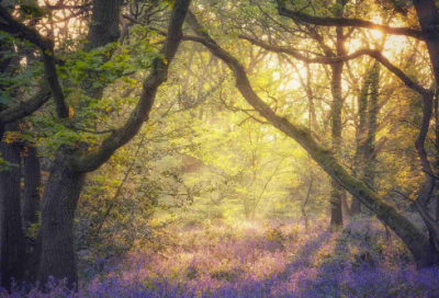 ​人要坦坦荡荡为人处事的心情短语(精选30句)