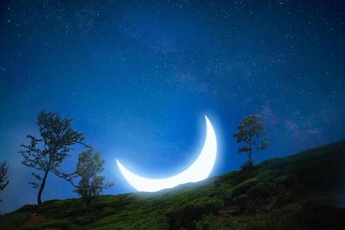 关于简单幸福生活的句子