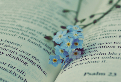 ​一年级儿童励志名言（精选推荐）