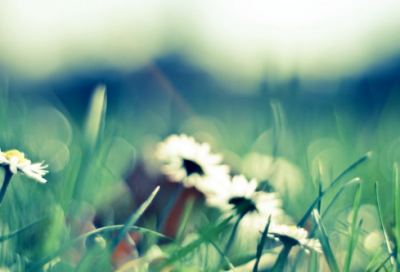 ​心情句子最新【感情句子表达心情短句】