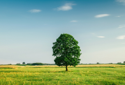 ​话戳心情感话语精选 心情不好的话语(精选35句)