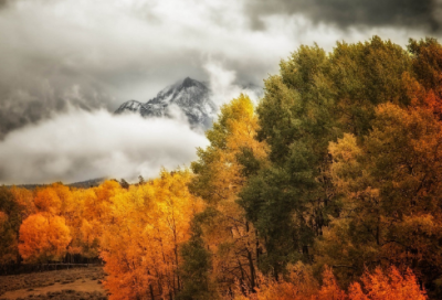 ​聚餐的心情说说简短 小聚朋友圈心情短语