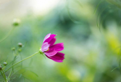 ​关于励志的话简短霸气 努力优秀的正能量句子