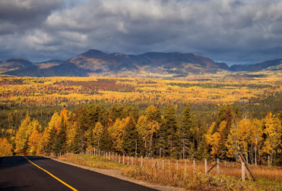 ​愚人节表白文案,愚人节表白代表什么精选(推荐87句)