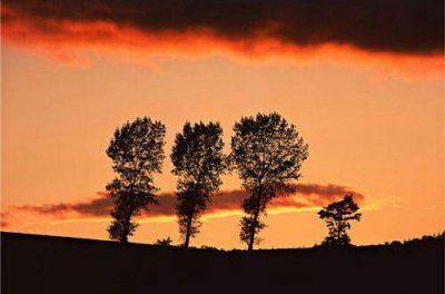 ​爱情伤感的性签名92句