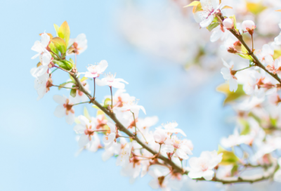 ​开学句子说说简短_开学句子发朋友圈摘抄大全（精选88句）