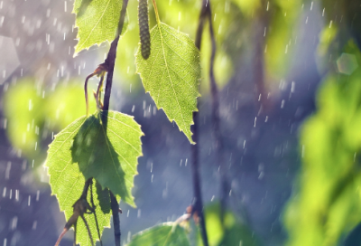 ​关于晚安说说简单气质一句话 深入人心的晚安语