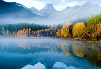 ​励志的句子说说心情(可爱励志短句说说)