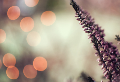 ​心情好的句子简短(简单句子说说心情短语)