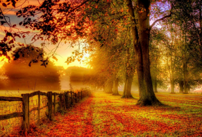 ​心情说说感悟生活朋友圈 心情说说感悟生活(精选50句)