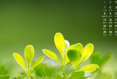 ​一声问候暖人心经典语句(精选63句)