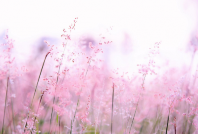 ​关于搞笑的朋友圈说说配图 朋友圈搞笑句子