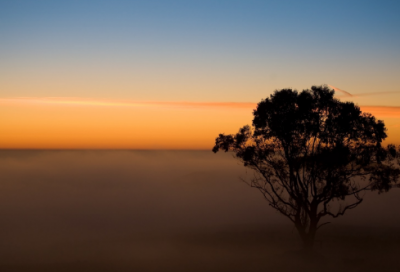 ​关于励志的句子,心灵鸡汤经典语录励志，一路前行
