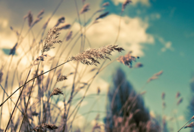 ​关于激励人奋发上进的句子,句句励志有骨气!