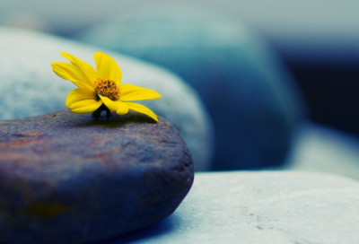 ​关于正能量的话励志的语句 100句激发斗志的励志短句