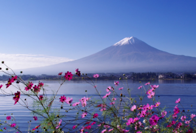 ​关于出来散散步好心情的句子(精选58句)