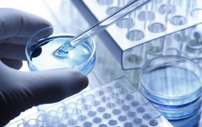 ​先入咸阳者为王：肺癌黄金靶点 EGFR 的第四次战争