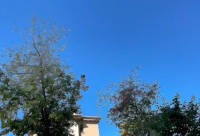 ​关于一个心情不好的女人说说