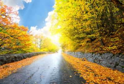 ​经典语句励志社会(激励人心的句子)