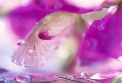 ​正能量励志的句子经典语句 励志的句子经典语句摘抄