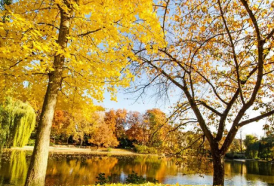 ​爱情告白语录【精选82句】