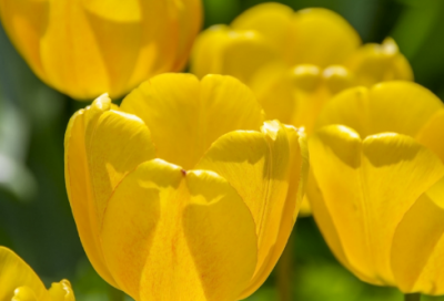 ​关于高考励志金句推荐 高考励志金句字精选(70句)