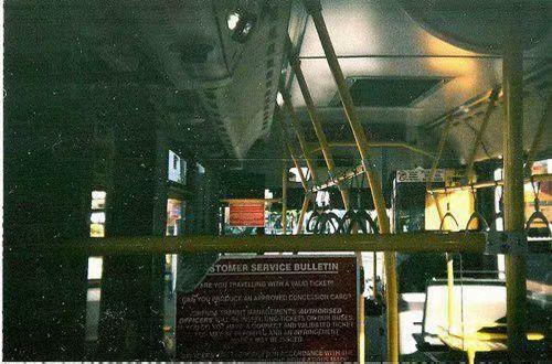 相信爱情的经典句子