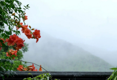 ​认真做好一件事励志语 关于专注的励志句子