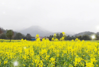 ​关于好好生活励志短句 努力想过好日子的句子