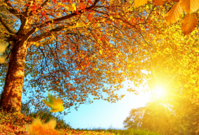 ​发短信表白【95句】