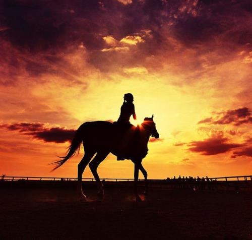 qq伤感说说心情纠结