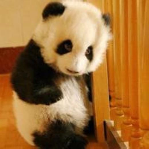 qq伤感说说心情纠结