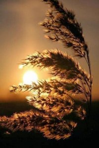 ​简短一句话青春励志语录 古文励志一句话经典语录