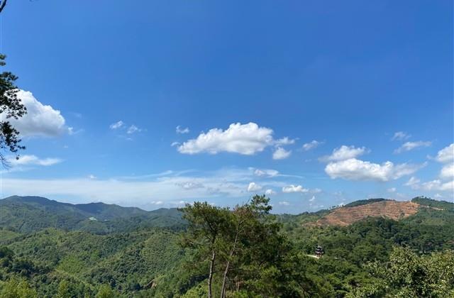 难熬的夜晚的句子 夜长难熬的心情说说