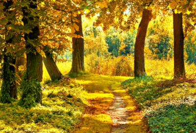 ​隐藏式表白(汇总)