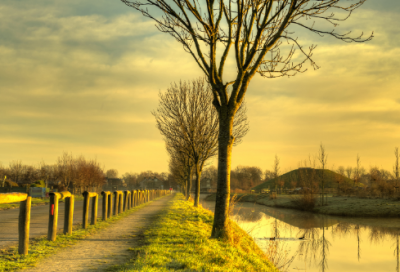 ​表达爱情的古诗词【共78句】