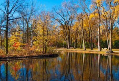 ​爱情表白手机短信(64句)