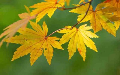 ​令人怦然心动的句子（精选97句）