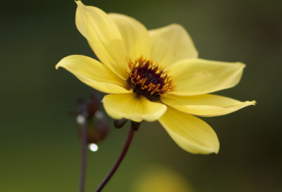 ​生活无奈感悟经典句子(生活的心酸无奈的经典句子)