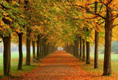 ​心态好的简短经典句子(人生美好心态经典句子)