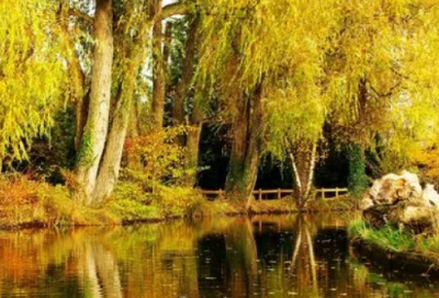 ​爱情没有对错经典词句(经典)