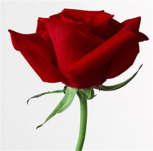 ​关于爱情的句子霸气个性