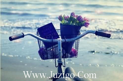 成长经典语录85句