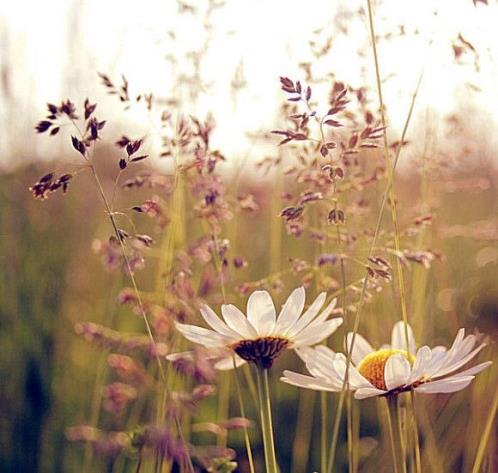 心里的苦自己扛的句子 关于心里苦涩的句子