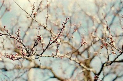 ​描写爱情上忧伤的句子